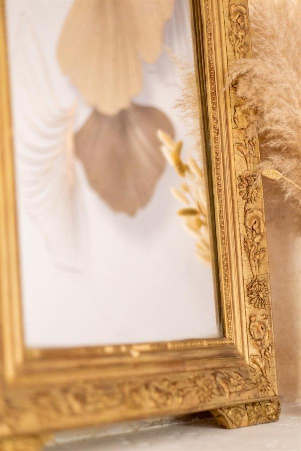 Les Suites D'Alienor-Suite Acanthe ペサック エクステリア 写真